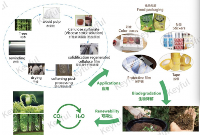 纖維素膜在環保包裝領域具有不可替代性